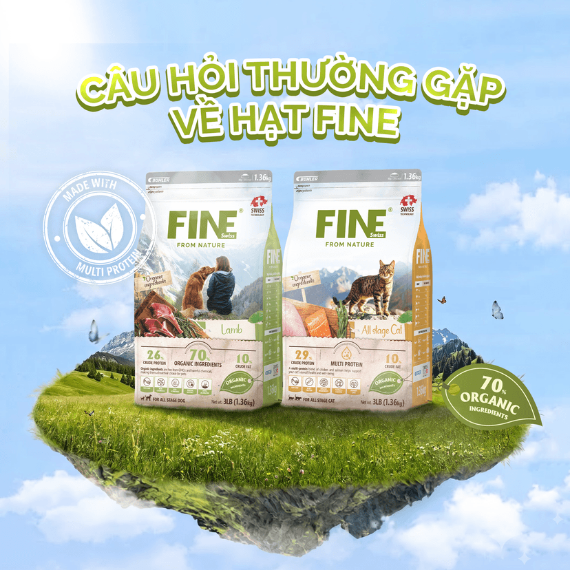 Câu Hỏi Thường Gặp Về Hạt FINE