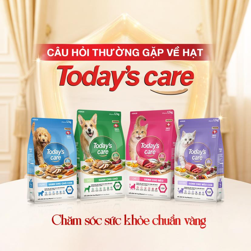 Giải Đáp Thắc Mắc Thường Gặp Về Thức Ăn Hạt Cho Chó Mèo Today's care