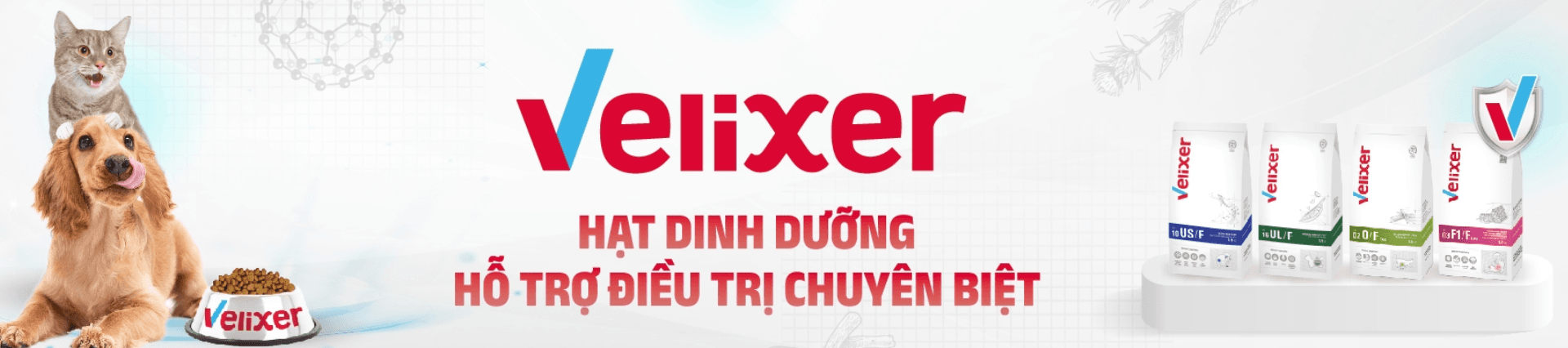 Banner background