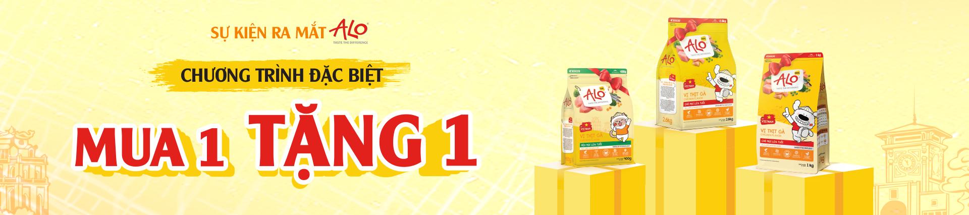 Banner background