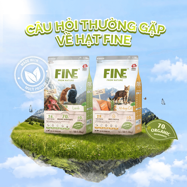 Câu Hỏi Thường Gặp Về Hạt FINE