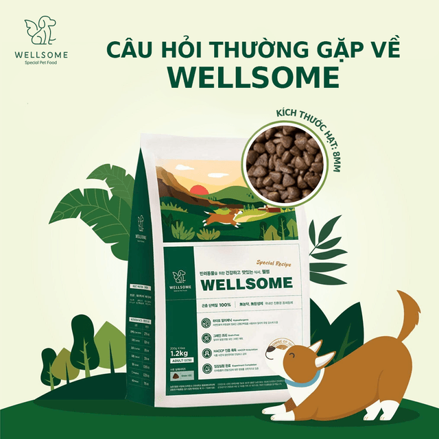 Câu Hỏi Thường Gặp Về Hạt WELLSOME