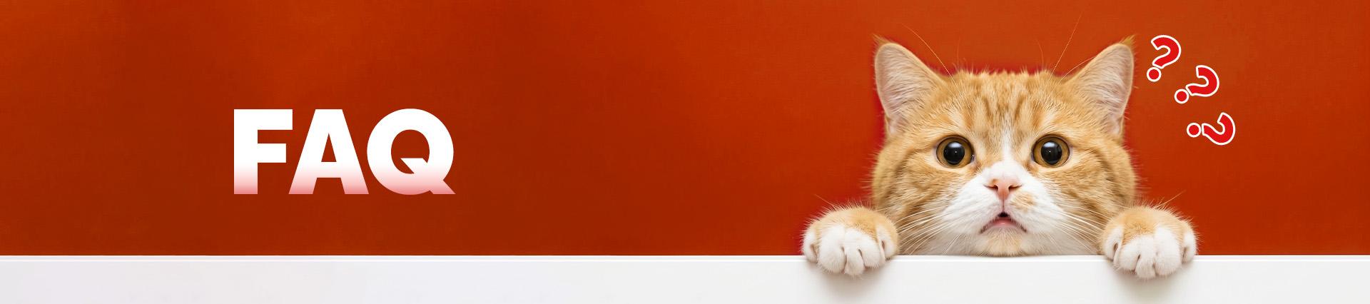 Banner background