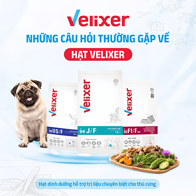 Giải Đáp Thắc Mắc Thường Gặp Về Thức Ăn Hạt Thú Y Velixer Cho Chó Mèo