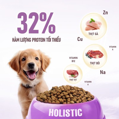 Top 3 nguồn protein động vật tốt nhất cho cún
