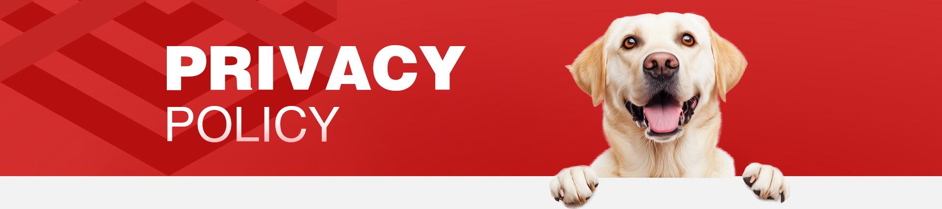 Banner background