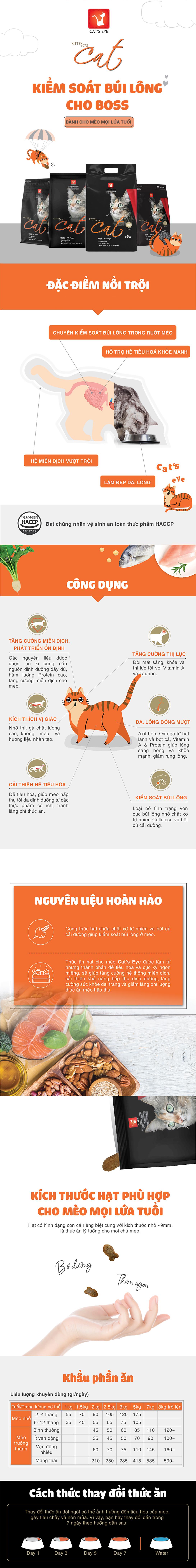 TỜ WEB CATS EYE_5kg_THƯỜNG_1787297573.jpg