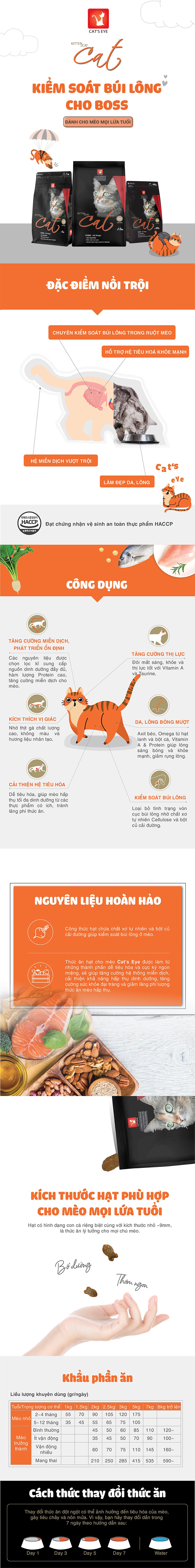 TỜ WEB CATS EYE_THƯỜNG_1765514263.jpg