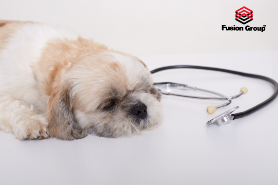 Thuốc kháng sinh đường ruột dành cho chó có tên gì?