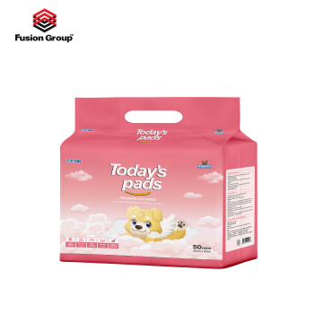Today's pads - Miếng lót vệ sinh cho chó loại 50 miếng (40x50cm)
